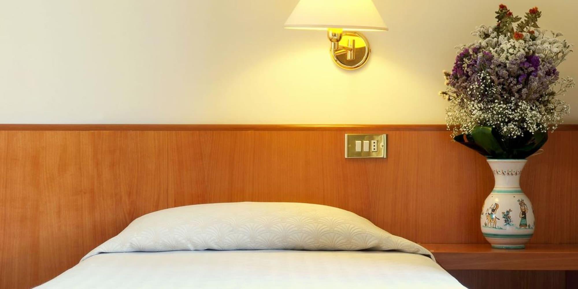 Plaza Hotel 3*